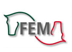 Camiones a fem